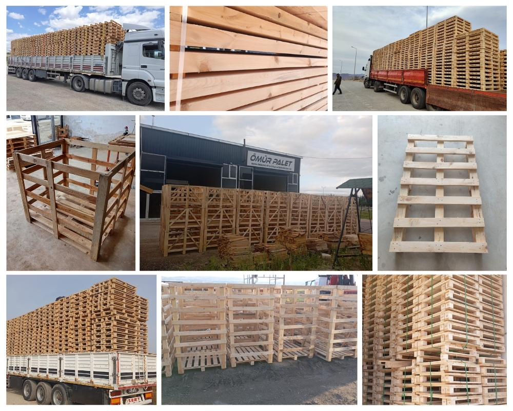 Berchem Houten Kisten, Europallets Groothandel Kopen